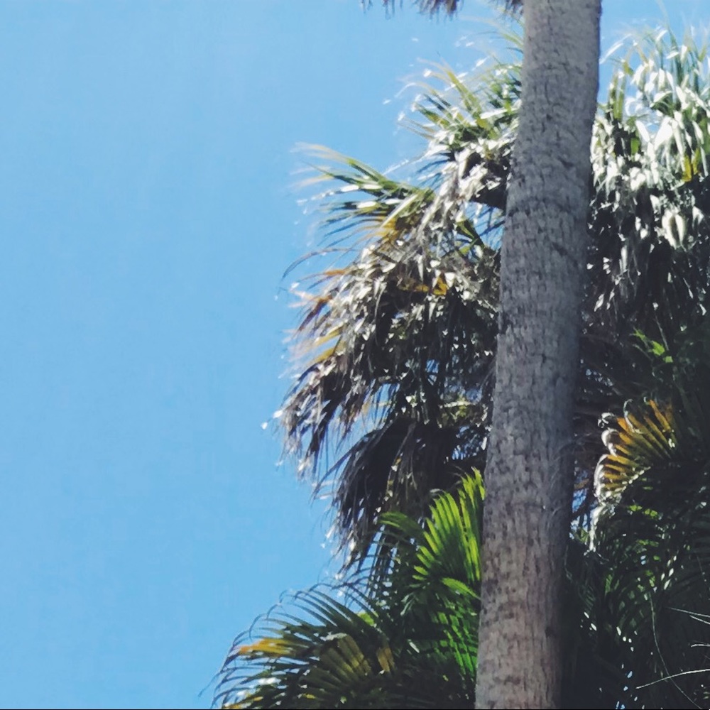 Meet your Posher, Kelia